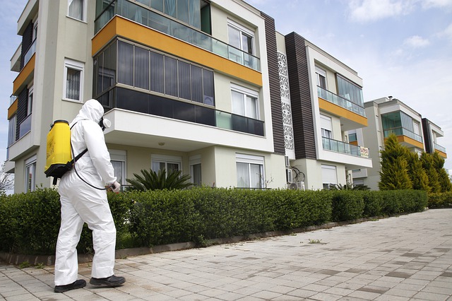 מדביר בראש העין